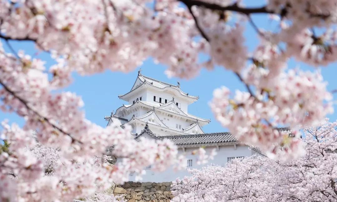 日本旅游攻略保姆级,日本保姆自由行攻略