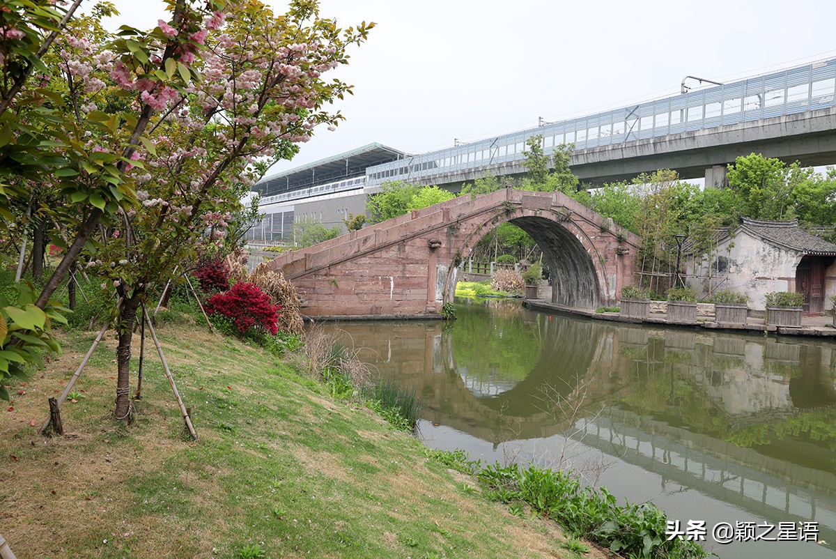 文星高照视频,当朝一品状元及第文星高照