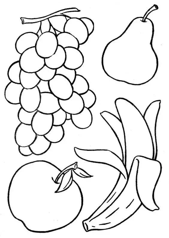 蔬菜水果简笔画可打印,蔬菜简笔画线稿