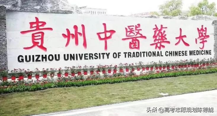 南方医科大学中医学科评估,中医学科排行榜前十名