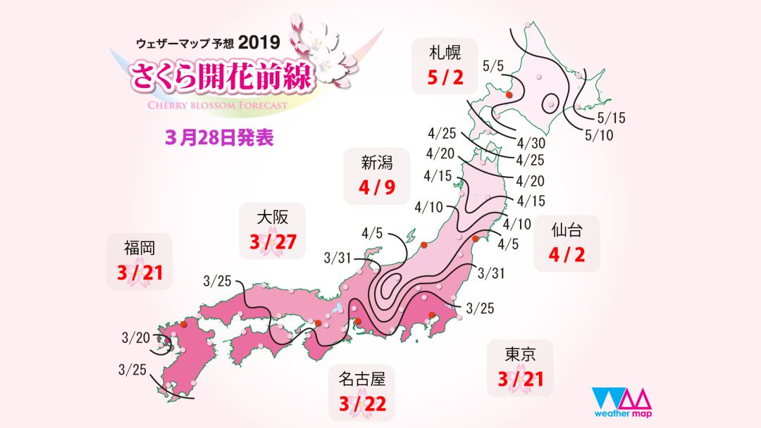 等你盛开，北海道之樱（文末也有福利在等你）