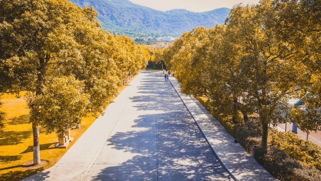 看，这是属于泉信的秋韵