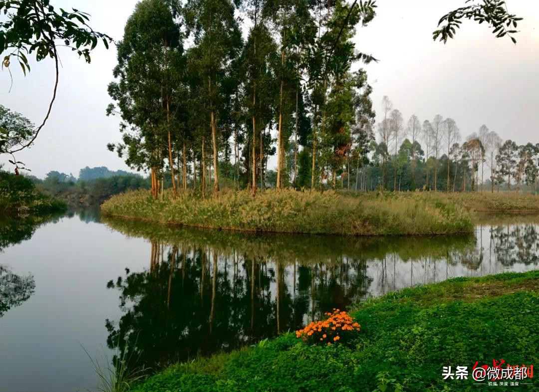 成都6号线湿地公园,成都地铁直达生态公园