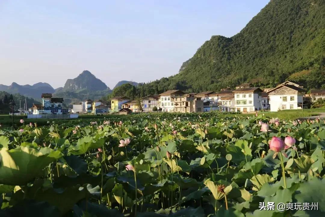 荔波洪江艺术村介绍,荔波洪江村开发区