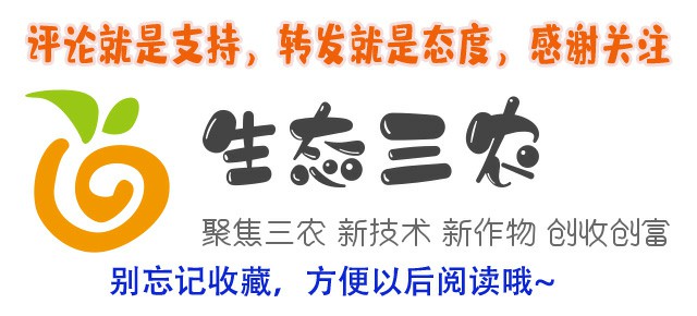 母猪下崽的正确方法视频,母猪下崽的绝招