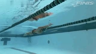 休闲蛙泳怎么游最快最轻松,蛙泳怎么游最快最轻松正确