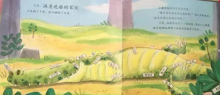 悦宝园主题课程推荐：鳄鱼｜AlligatorsandCrocs