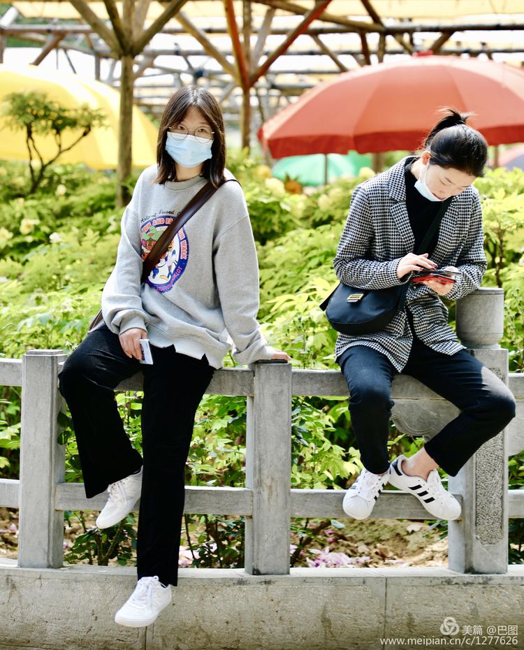 看洛阳牡丹花卉节,洛阳古都牡丹花展