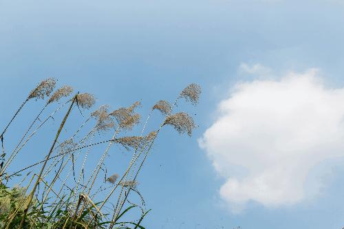 重庆爬山推荐险峻,重庆峭壁悬崖景区