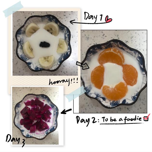 买一台酸奶机,买酸奶机怎么选