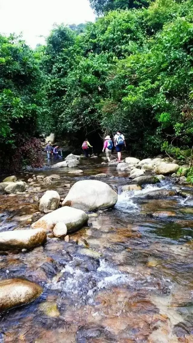 广东旅游攻略自驾游最佳路线,广东旅游攻略自驾游带孩子三天