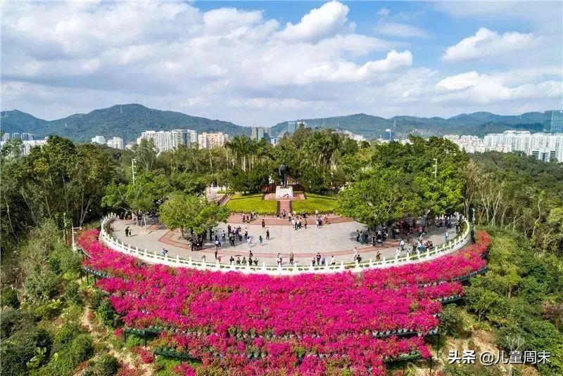 深圳带娃免费旅游推荐,深圳带娃出游景点攻略推荐