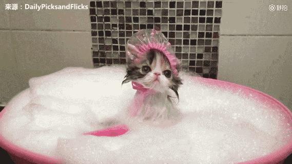 古天乐换自己的产品,古天乐最新代言产品