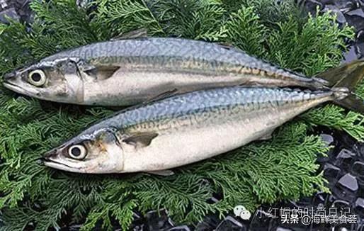 一般超市的鱼有几种,超市常见鱼品种