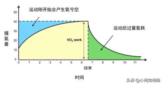 周琦投篮训练照片,周琦体型训练图
