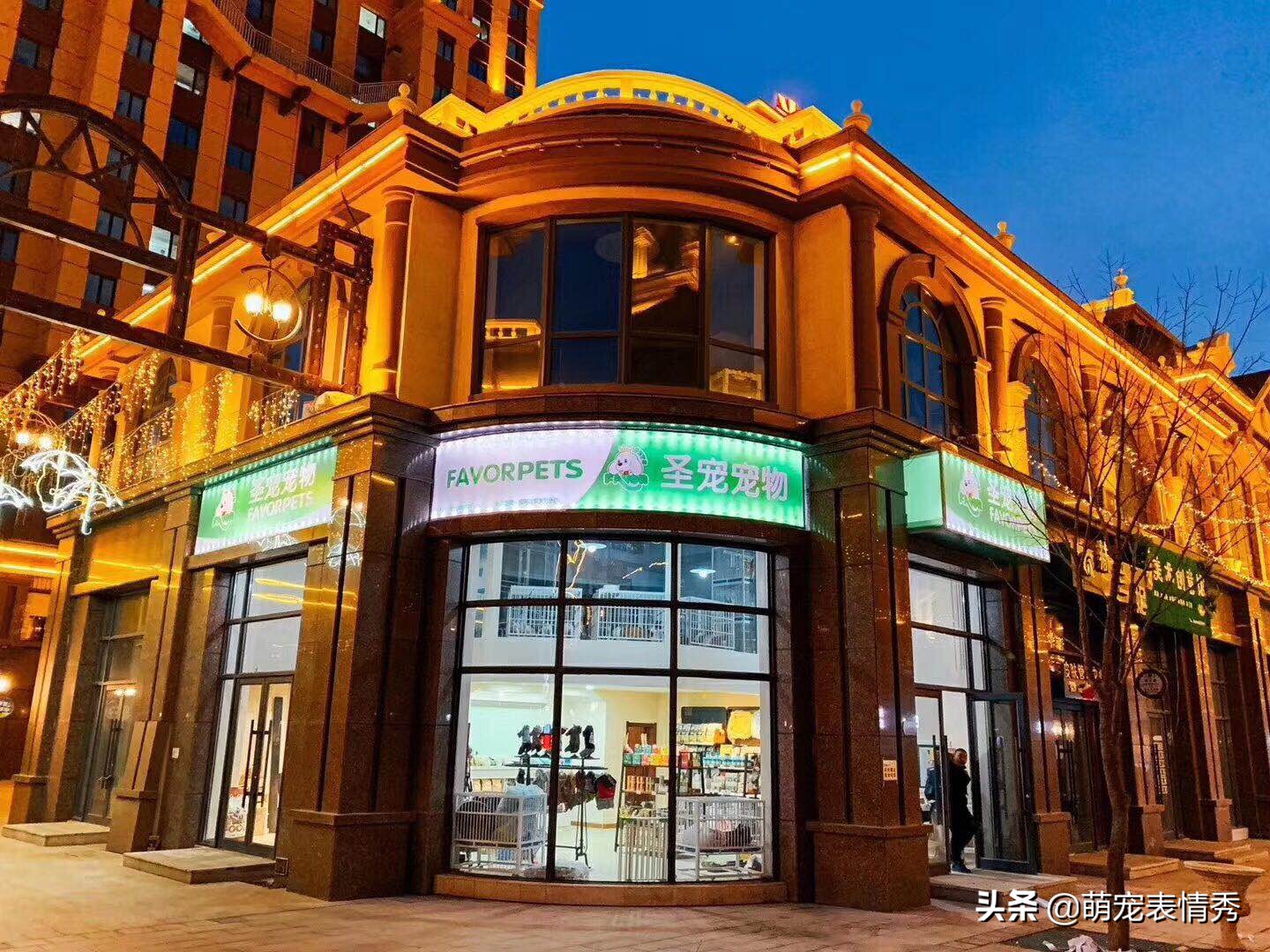 开宠物店大概需要投资多少钱,石家庄开宠物店大概多少钱