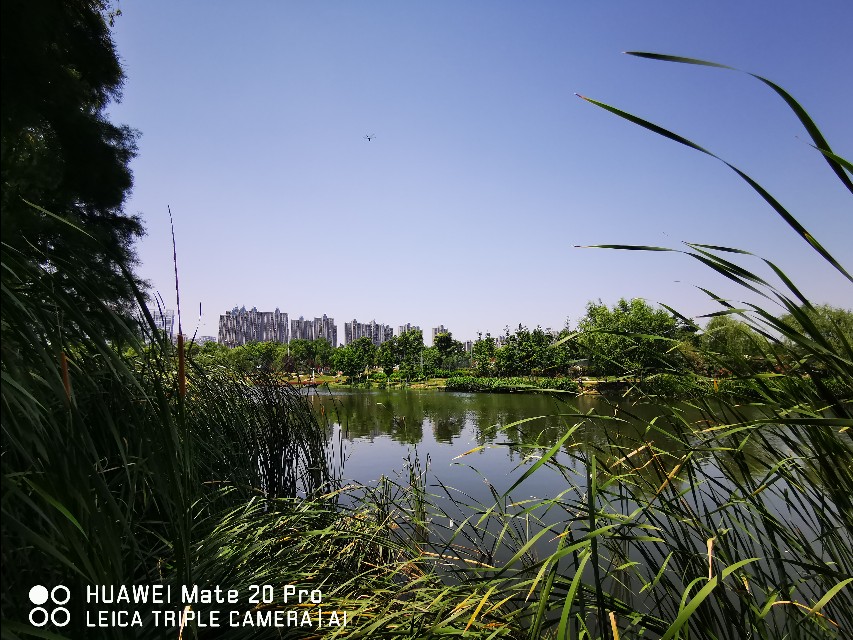 大美滨湖全景图,合肥滨湖塘西河公园美景