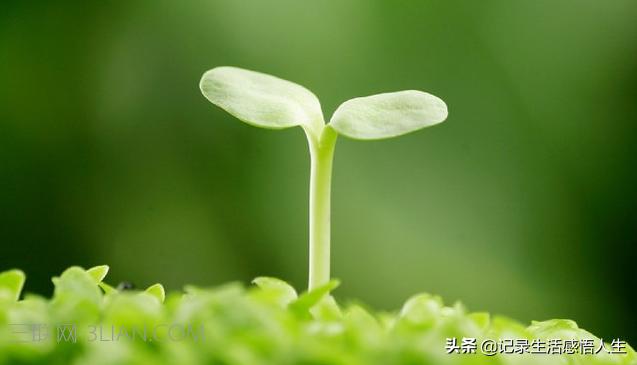 人生经历了它的珍贵就会珍惜,我们珍惜每一天