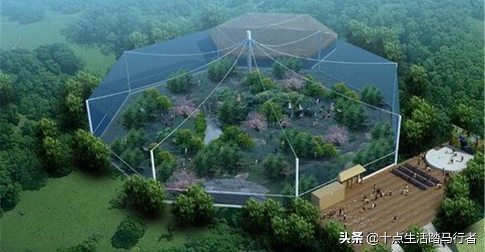 花的世界，鸟的天堂——木兰花乡