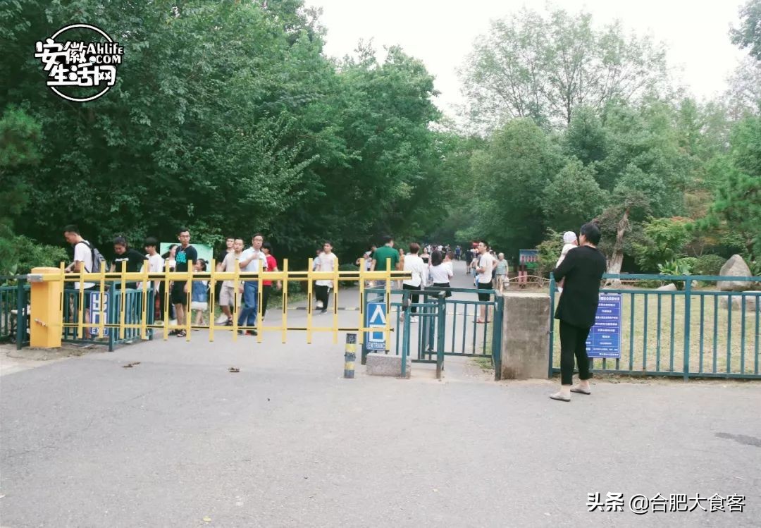 合肥大蜀山的秘密,合肥大蜀山的由来