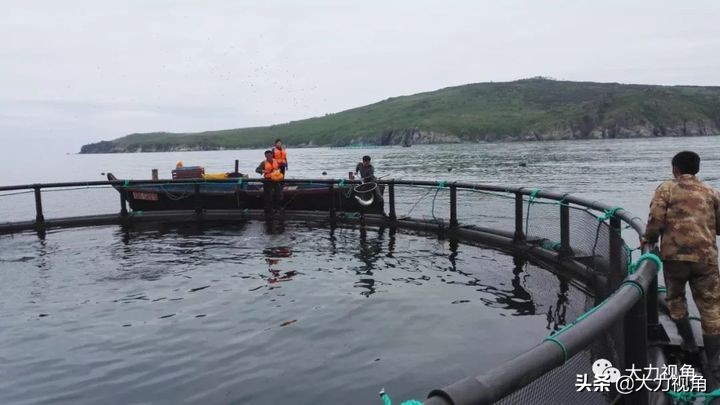 收藏海参干货,朝鲜有哪些有收藏价值的东西