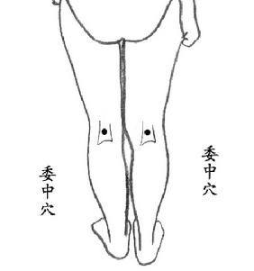 按手背哪个部位穴位可缓解腰痛,手上哪个穴位可以缓解腰部酸痛