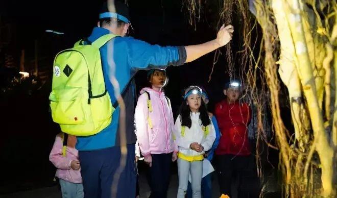 西九华山旅玩指南,2019年五月一日西九华山夏令营