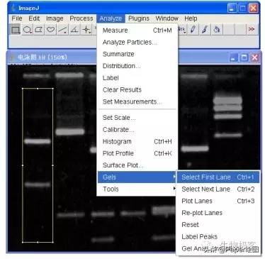 黄色和绿色如何用imagej分析,imagej图像分析教程