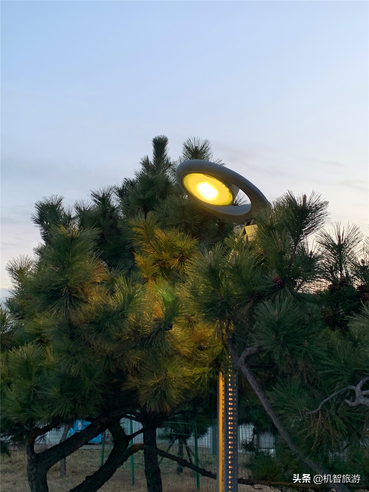 日照渔家乐住宿吃海鲜，想要体验到正宗的渔家生活这份攻略可以看