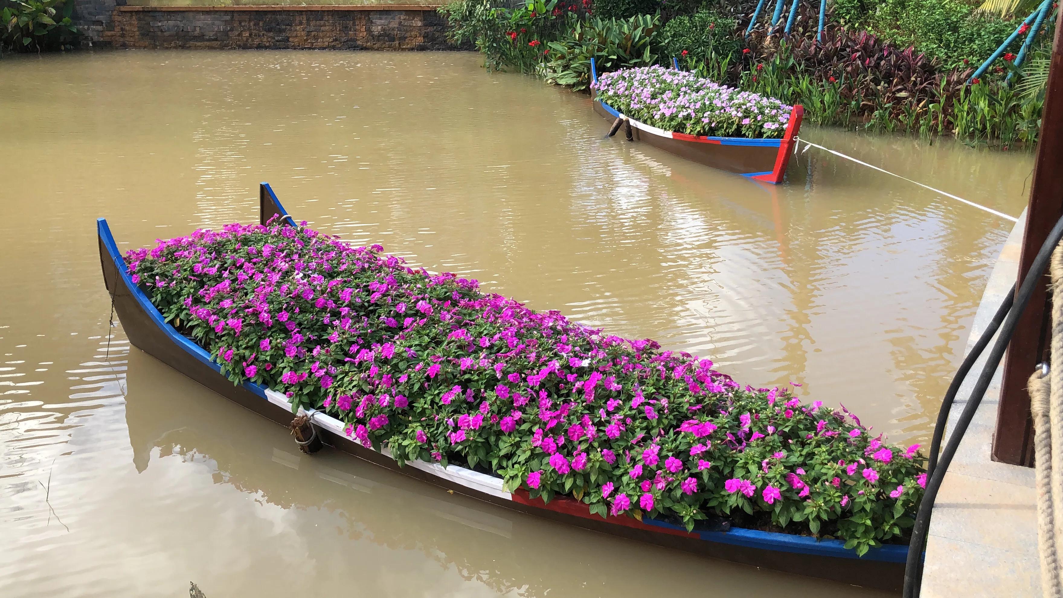 西双版纳租房应注意什么 (去西双版纳租房需要带什么)