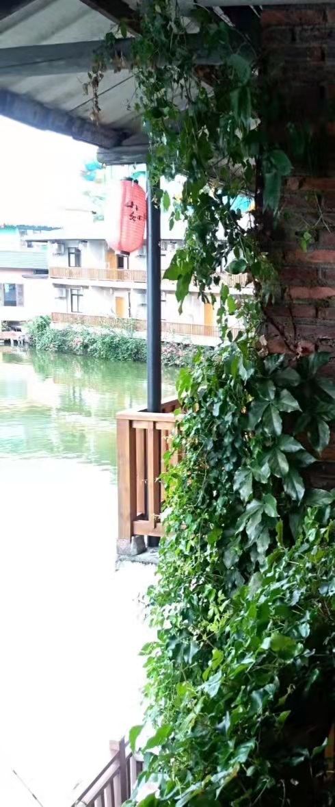 大隐隐于市。在最繁忙的国际大都市，观澜山水田园，别有情趣