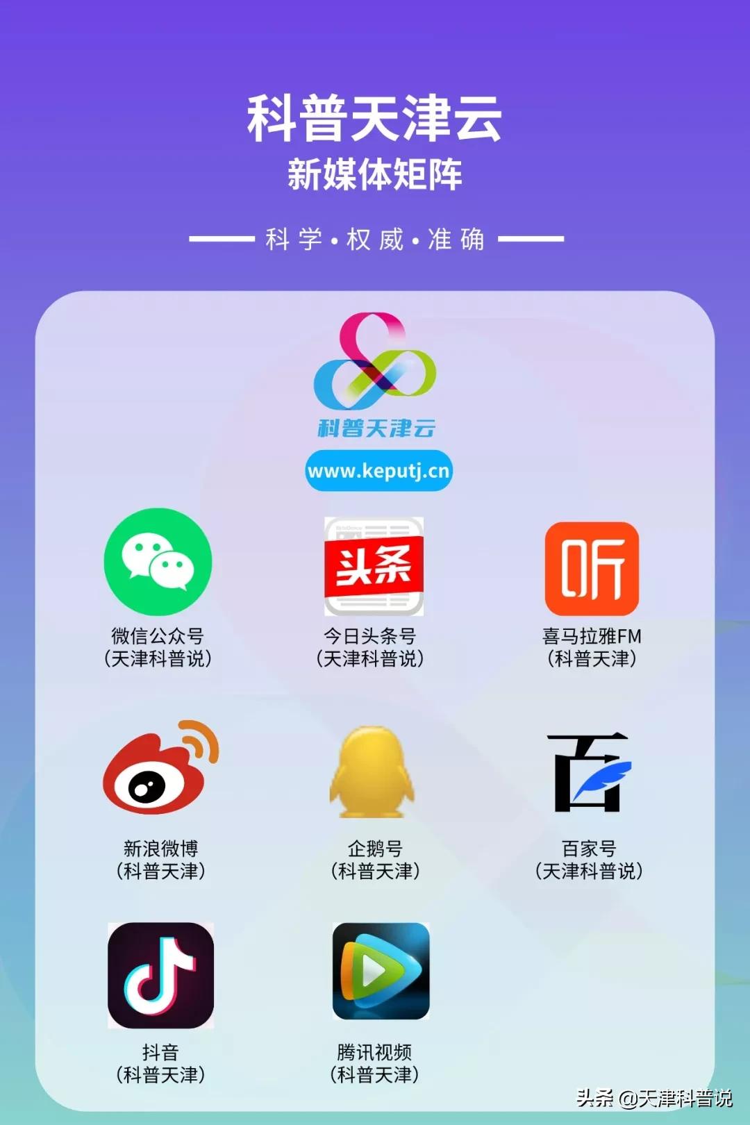 体温枪竟会伤眼，且造成永久伤害？这些谣言不能信！