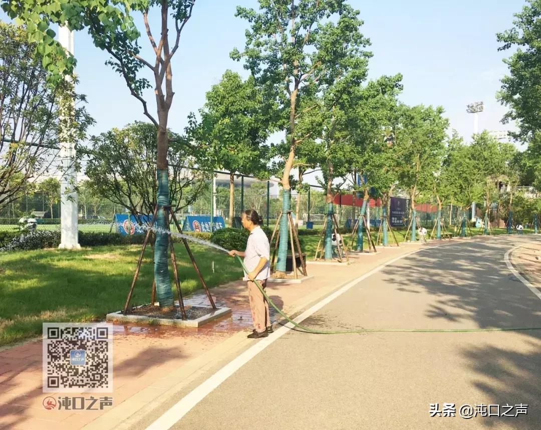 武汉足球公园分布图,中国最大的足球公园