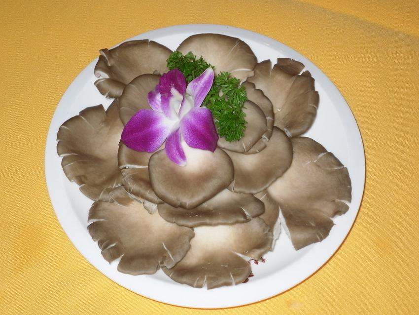 鲜平菇打成浆栽培平菇,平菇基地范围化平菇栽培