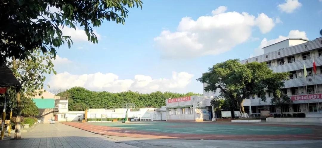 新都泰兴镇新建小学,新都新增小学