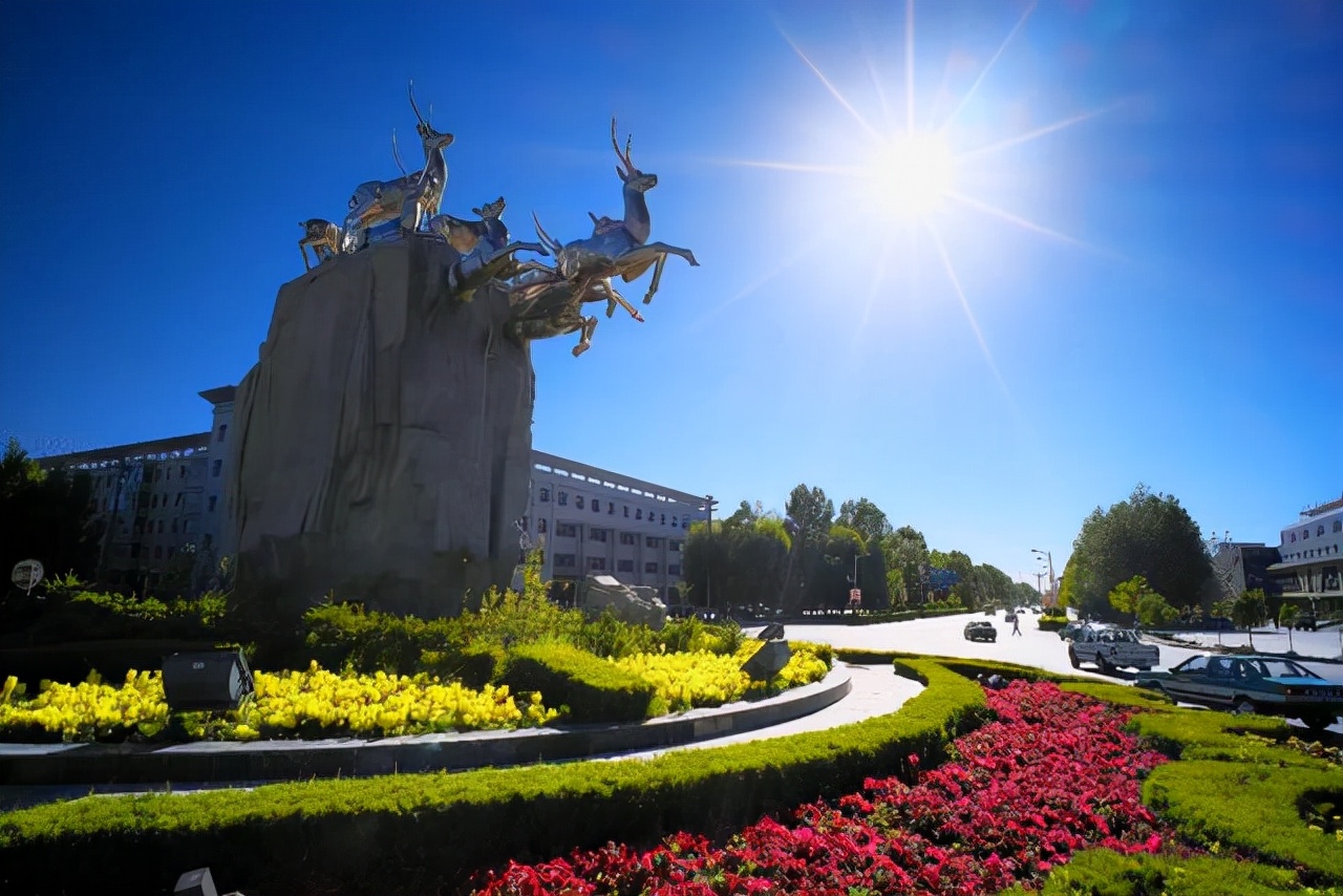 去格尔木的感受,第一次去格尔木会不会有高原反应