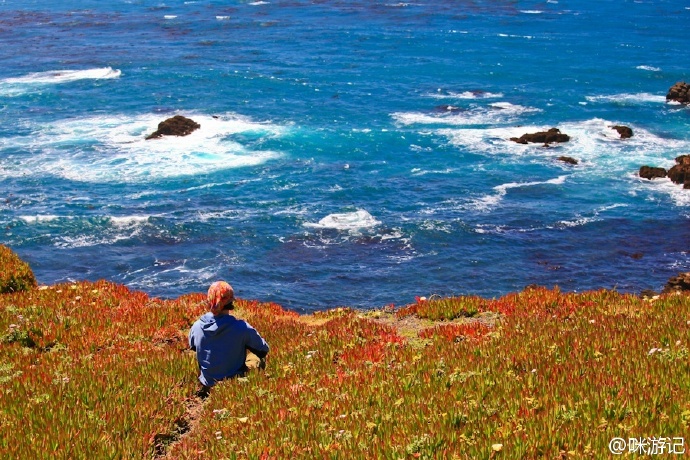 自驾加州的感受 (加州自驾需要准备什么物品呢)