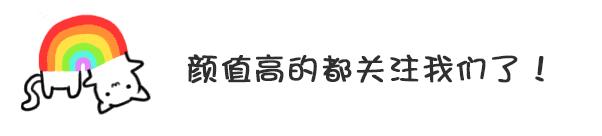 泰迪狗大概值多少钱一只,泰迪狗多少钱灰色