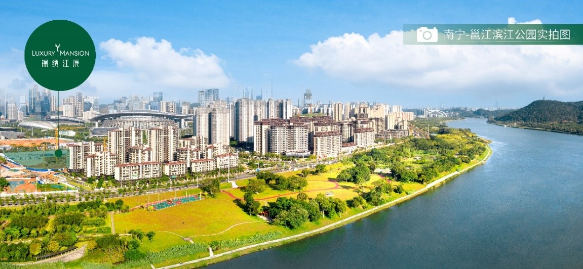 十年瞩目，五象蟠龙终上新