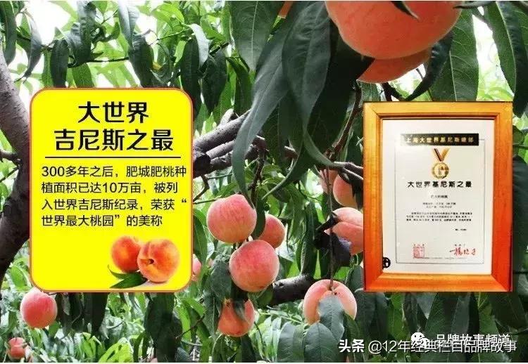 *安泰**市工商局：立足”5S“服务，弘扬挑山工精神