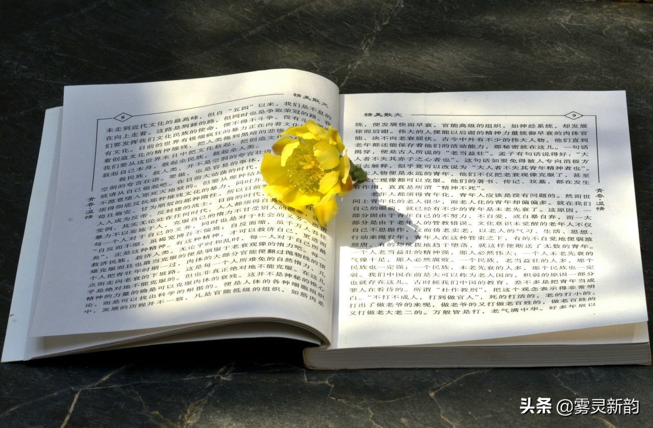 旧书的收藏价值在哪里,旧书收藏讲求品相