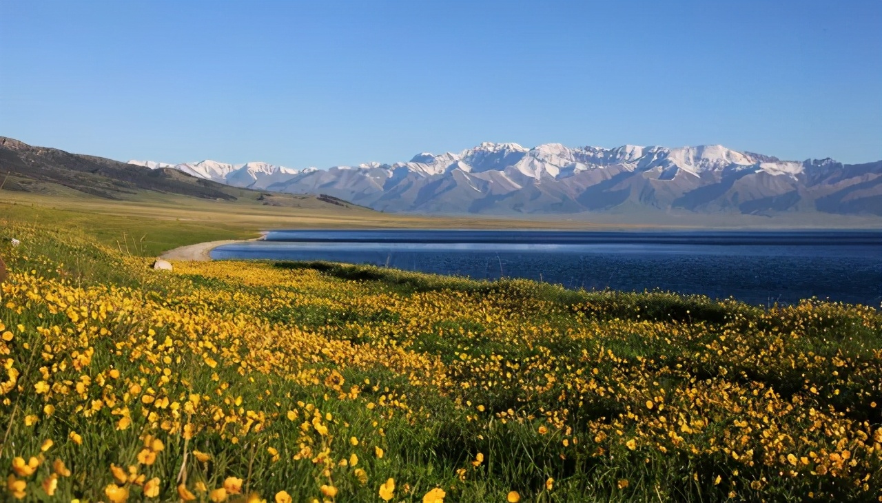 历史上伊犁属于哪里,历史上的伊犁在哪