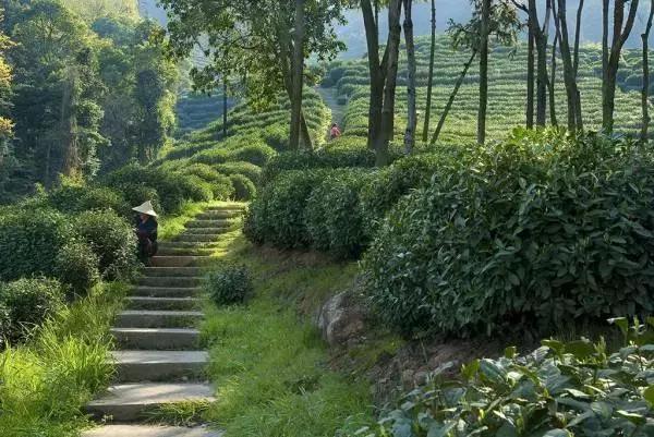杭州隐宿网红民宿,杭州隐居山林古风小屋