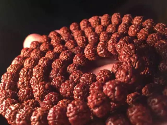 机刷金刚菩提还能盘吗,金刚菩提的刷盘方法