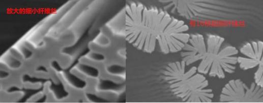 00后女生创业年入百万,95后的雯晴现状