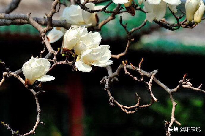 识人术准到吓人的感悟,六条识人术准到你怀疑人生