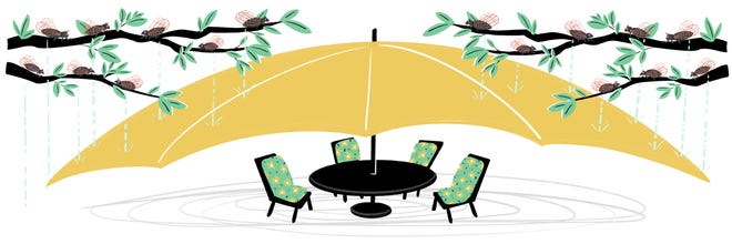 滴落在头上的不一定是雨，还有可能是尿？无毒无害，但不可食用