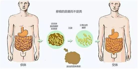 “吃屎”吗？能治病