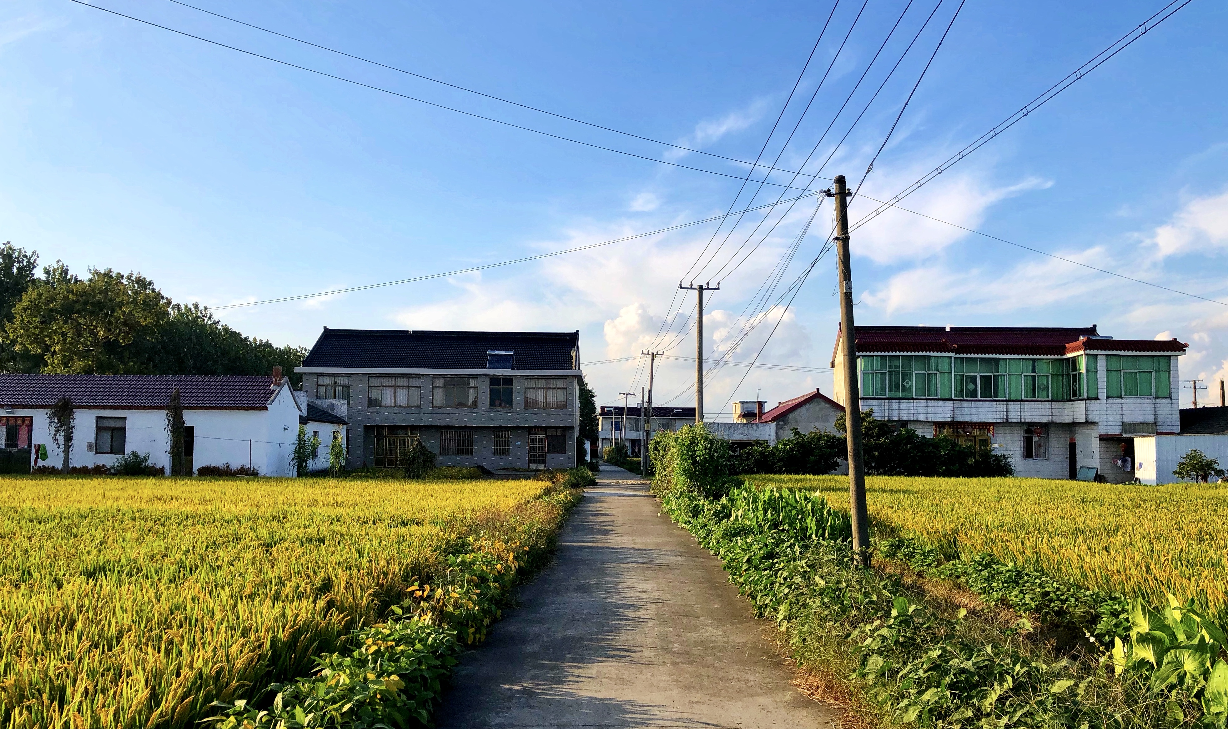苏北人评价江西农村,江西女吐槽苏北农村差距太大