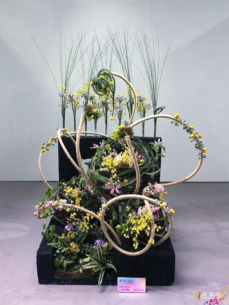 深圳花展2019年12月时间表,深圳第一场春天花展